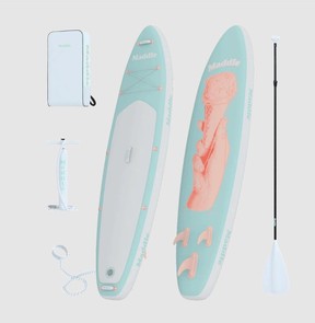 The Optimist and all the accessories that come with the board.