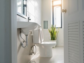 White bathroom door that overlooks the sink and toilet lit by the window.