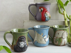 Protect the Animals Mugs.