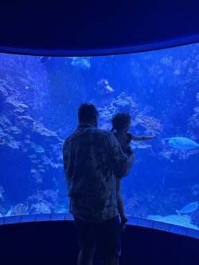 Maui Ocean Centre is a perfect family-friendly outing.