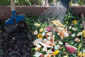 Worker watering compost box outdoors full with garden browns and greens and food wastes, blue shovel in the soil, sustainable life concept