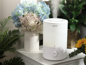 Humidifier on a table in front of a vase of flowers surrounded by greenery