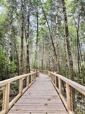 A sneak peek of the Squamish Canyon boardwalk, opening August 2025.