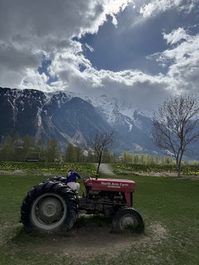 Exploring North Arm Farm with Mount Currie looming.