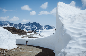 Enjoy a guided walk through Whistler's snow walls as part of the Nourish programming.