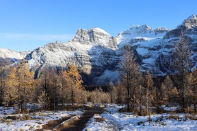 views from the Larch Valley Hike