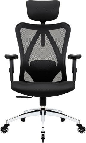 Duramont Ergonomic Office Chair