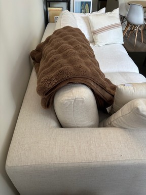 castlery dawson sofa arms back