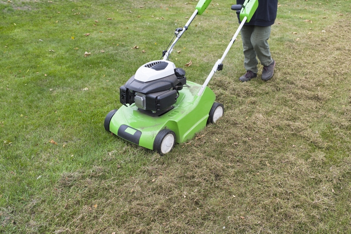  Dethatching helps promote grass growth.