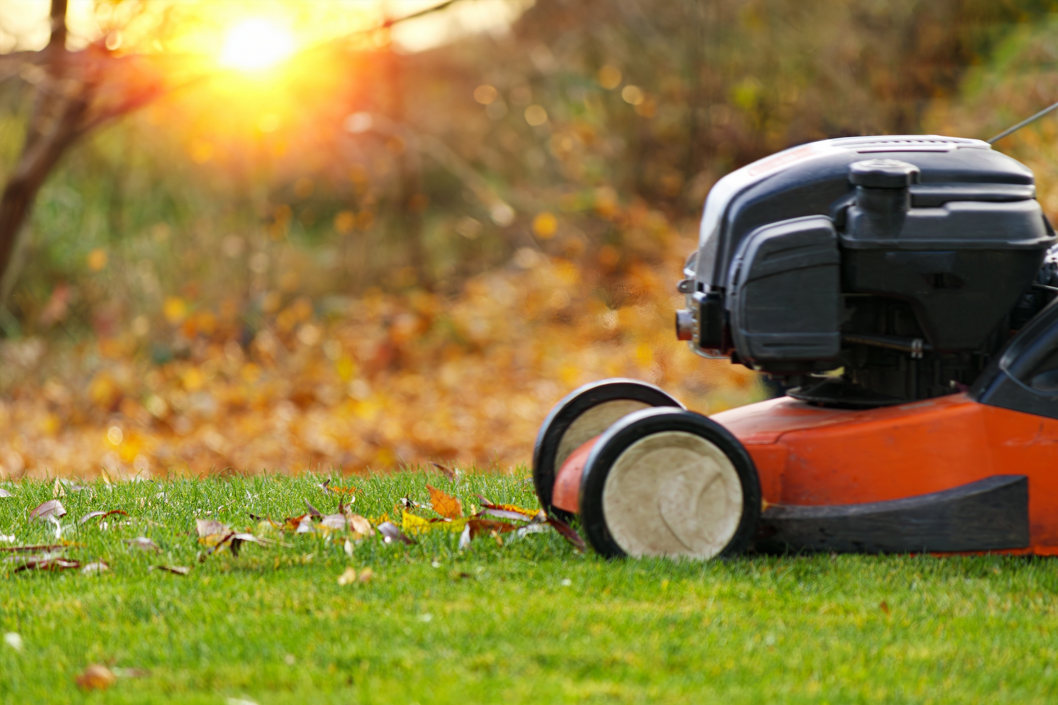 How to prepare your lawn for fall in Canada