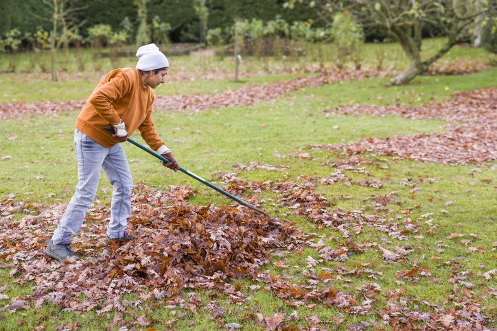  Rake and mulch leaves.