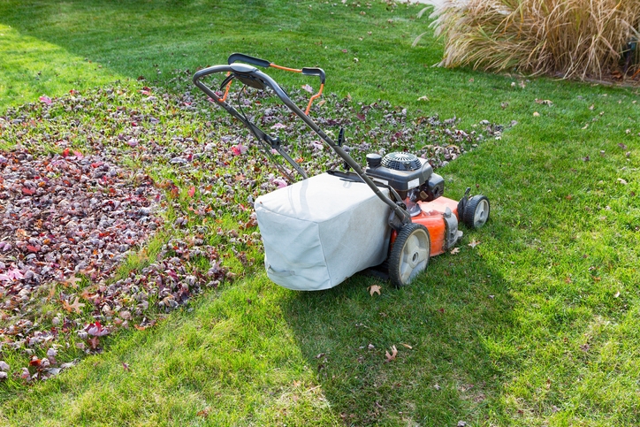  Continue mowing grass throughout fall.