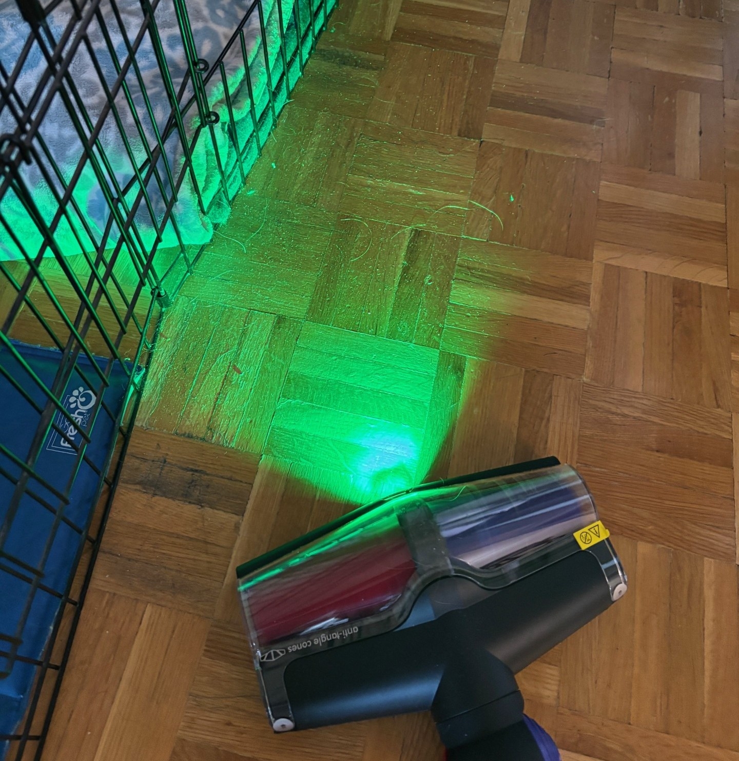  Pet hair and dust illuminated by the Dyson V16 laser.