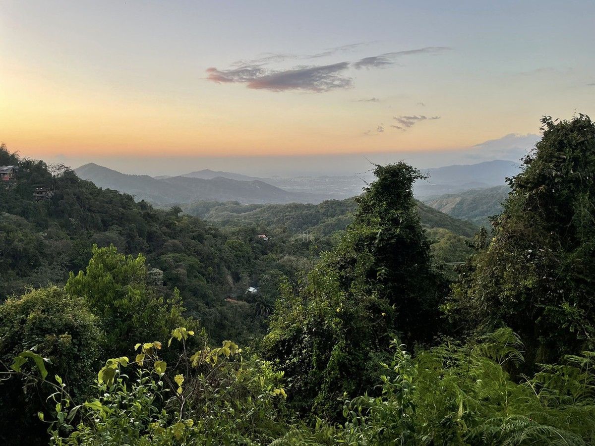 The lush tropical forests of the Sierra Nevada de Santa Marta in northern Colombia is a haven for bird watchers with more than 600 species of birds.