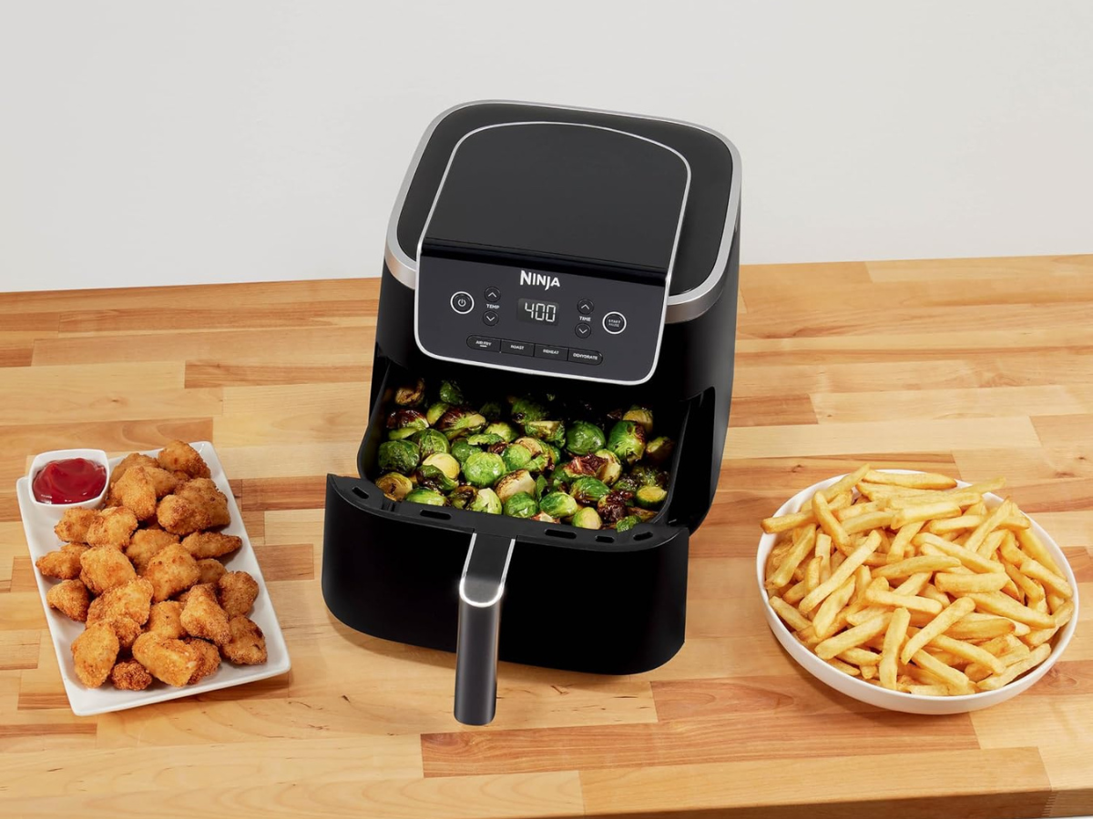 Ninja Air Fryer Pro 4-in-1