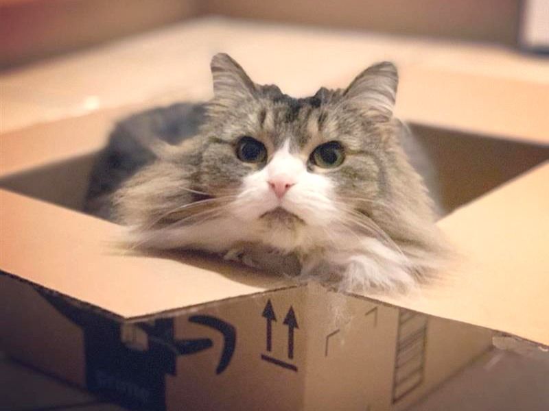 The tiny shadow: Macy Ella