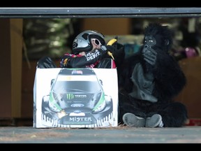 Ken Box and his primate pursuer end up getting along after all in this Ken Block gymkhana tribute video.