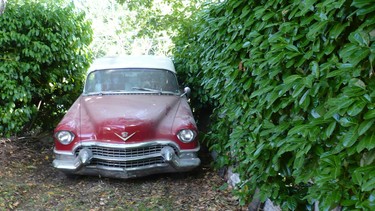 This 1955 Cadillac Convertible is among the best barn finds Alyn Edwards has ever come across.