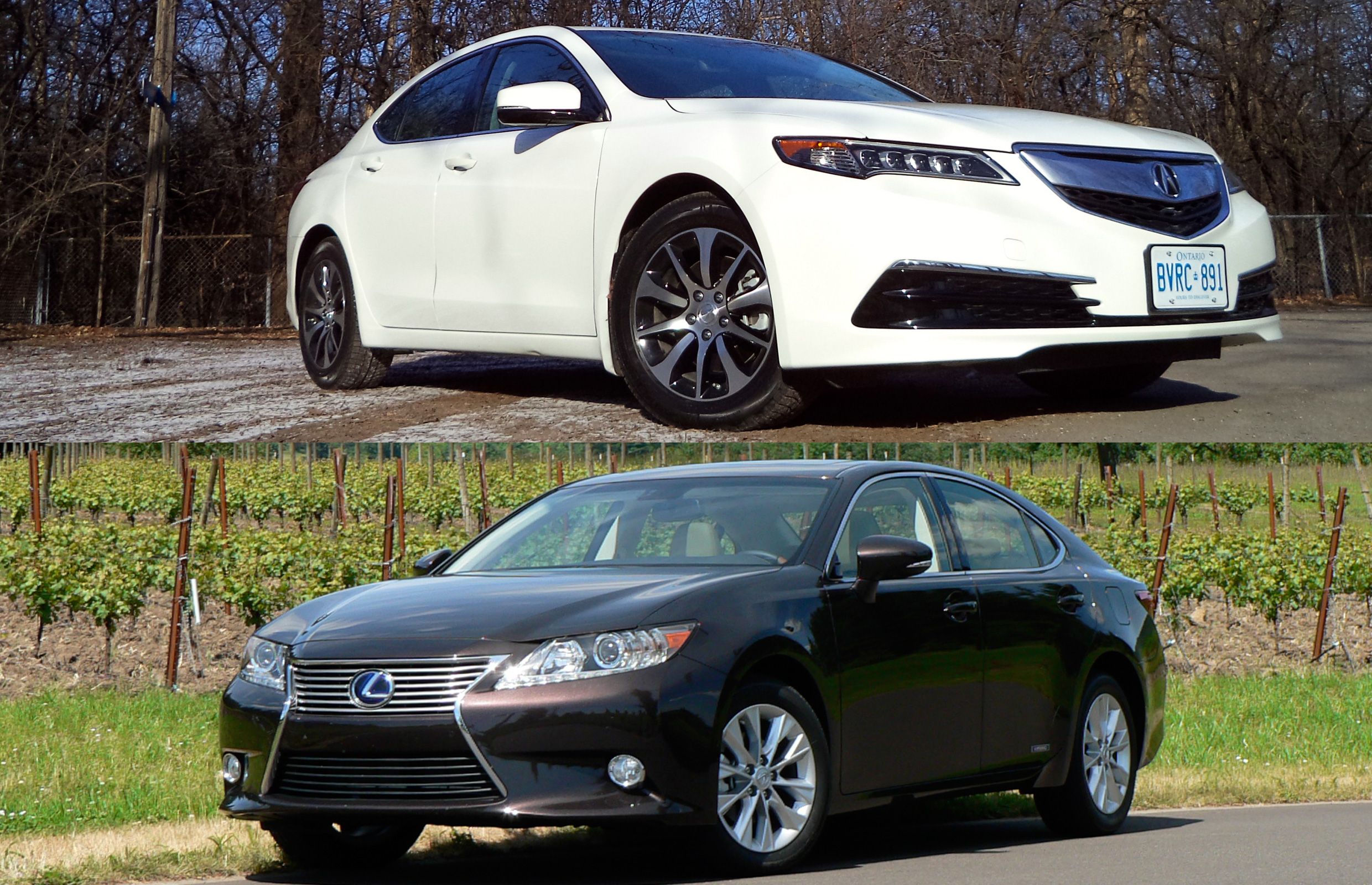 Car Comparison 2015 Acura TLX vs. 2015 Lexus ES Driving