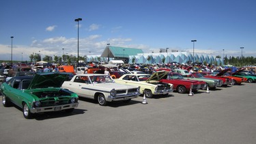 Vehicles attending Wild Wednesday cruise nights at the Grey Eagle Resort and Casino in Calgary. The Grey Eagle is the new home of Spring Thaw, an event hosted by the Nifty Fifty's Ford Club, slated for April 26.