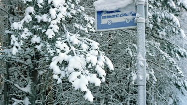 Writer John G. Stirling still remembers that bus ride home to Syracuse in the midst of a snow storm. It was like floating on a cloud. Quiet, comfy and toasty warm.