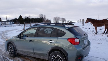 My Subaru at Pleasure Valley