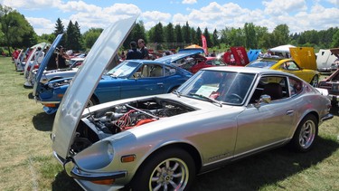 A row of Z cars open for inspection in Stouffville, Ontario.