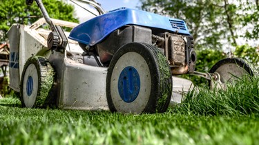 Not all fuel will keep your lawnmower happy
