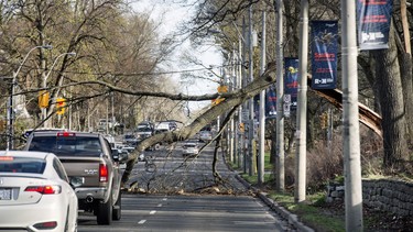 High winds have felled trees in Toronto causing road closures such as Parkside Drive, hydro wire damage on High Park Gardens and knocking out traffic lights on Dundas Street West, Friday May 4, 2018.