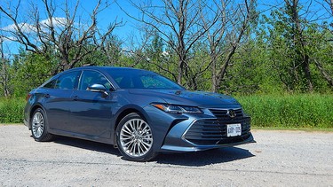 2019 Toyota Avalon