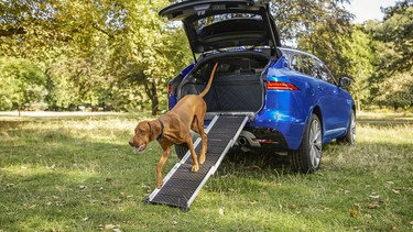 Jaguar Pet Products for SUVs