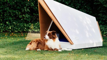 Ford's noise-cancelling kennel