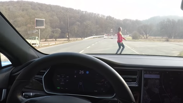 Tesla AutoPilot fail man tests on wife