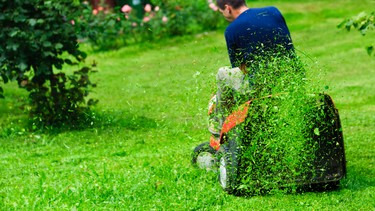 A ride-on lawn mower cutting grass.