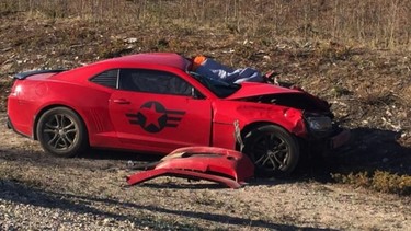 The curious case of the crumpled Camaro and two dead buffalo