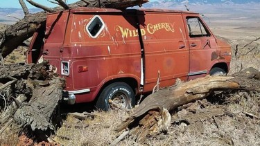 The "Wild Cherry" van from the film "Van Nuys Blvd"