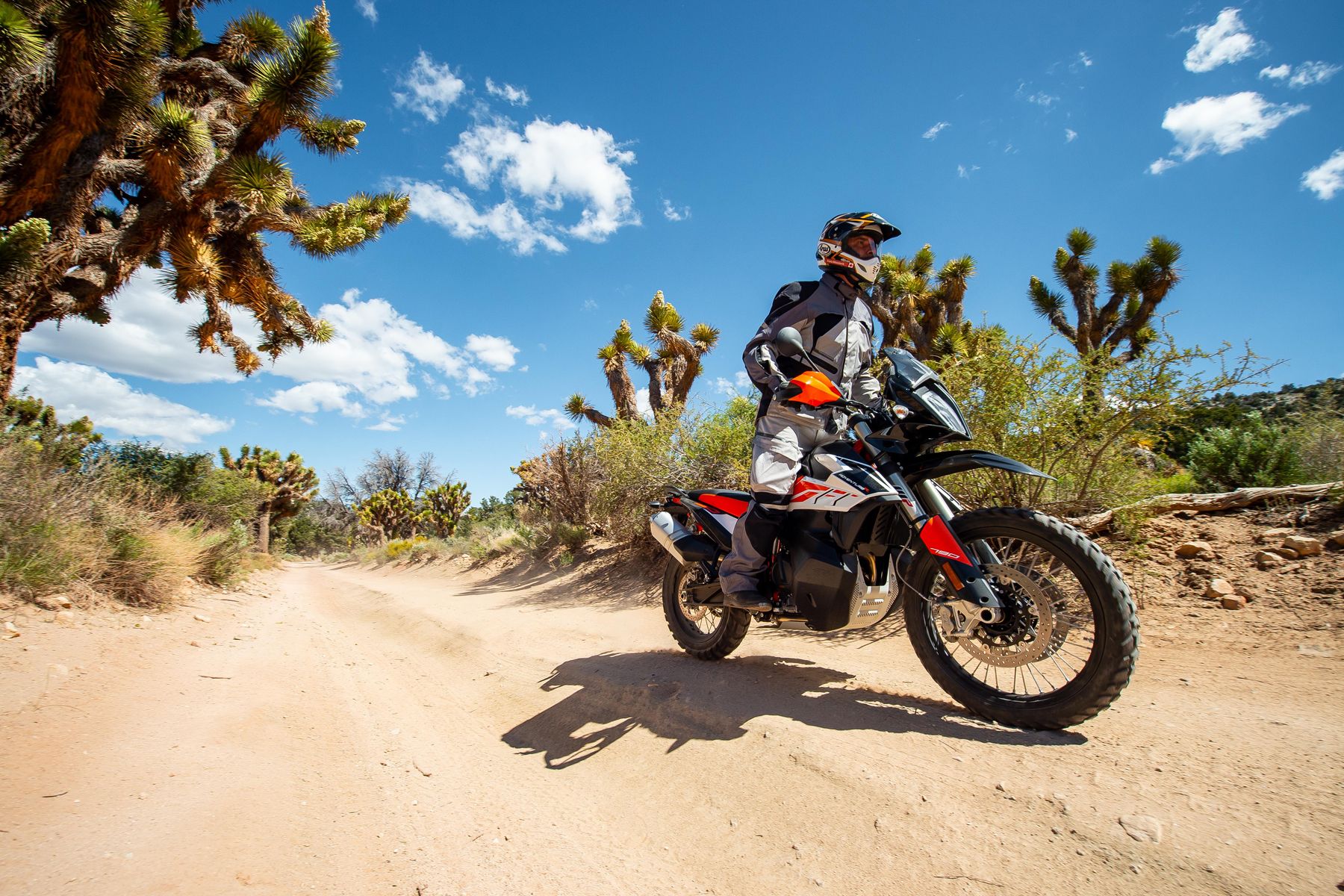 First Ride 2019 KTM 790 Adventure Driving