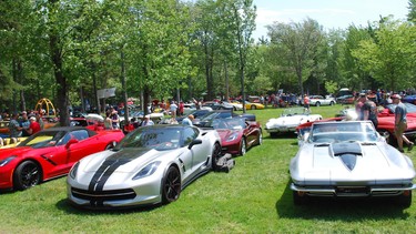 Corvette club members assemble at the show annually.