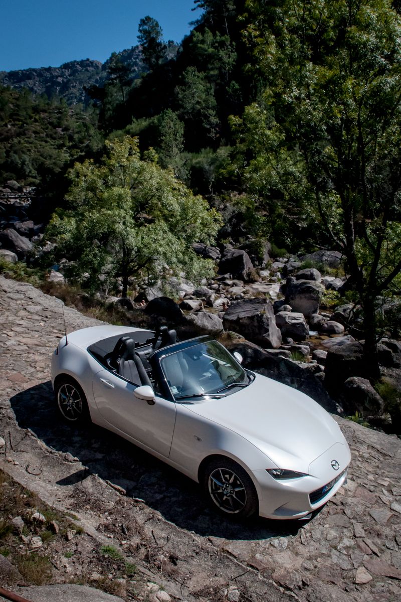 まや Maa☆ adidas OFFSPRING x MITA Sneakers x ZX8000 Grey Off White Grey