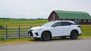 2020 Lexus RX 350