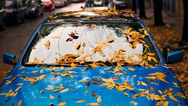 Yellow autumn leaves on a blue car