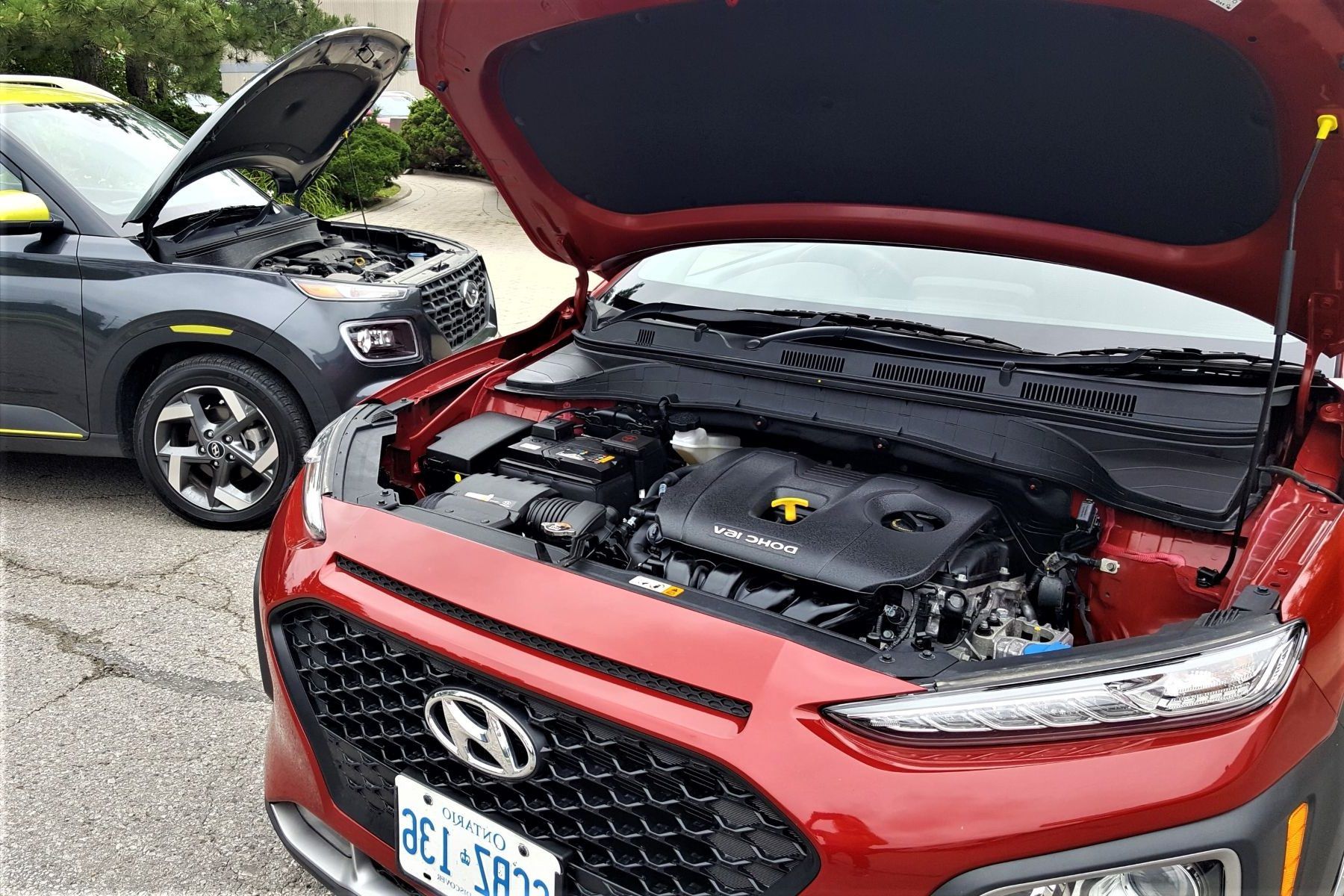 Hyundai Venue Vs Kona: A Comprehensive Comparison Everyone Needs | Driving