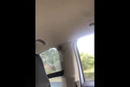Watch: Way-too-big spider in not-big-enough car freaks out passengers