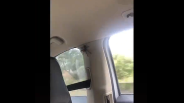 spider in car TikTok screaming copy
