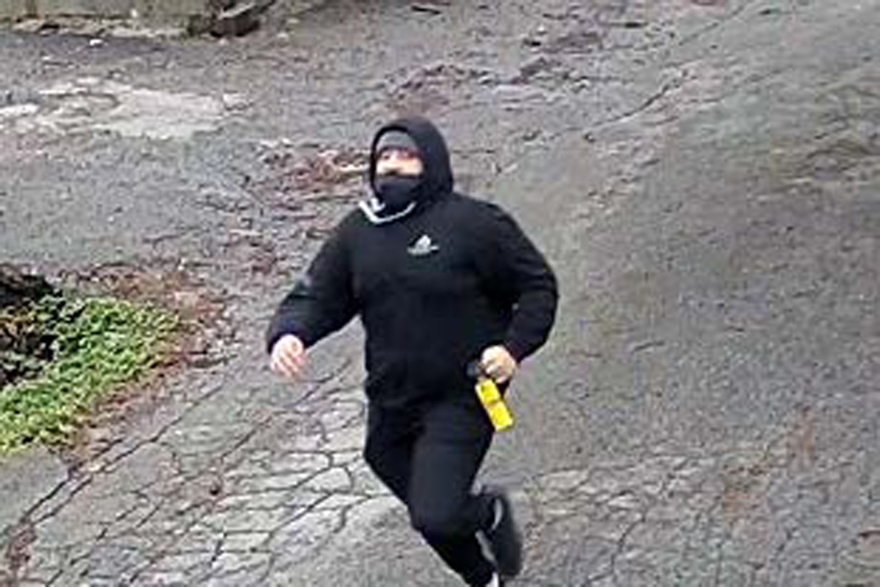 Police seeking to ID perpetrator in roadrage pepperspray attack Driving