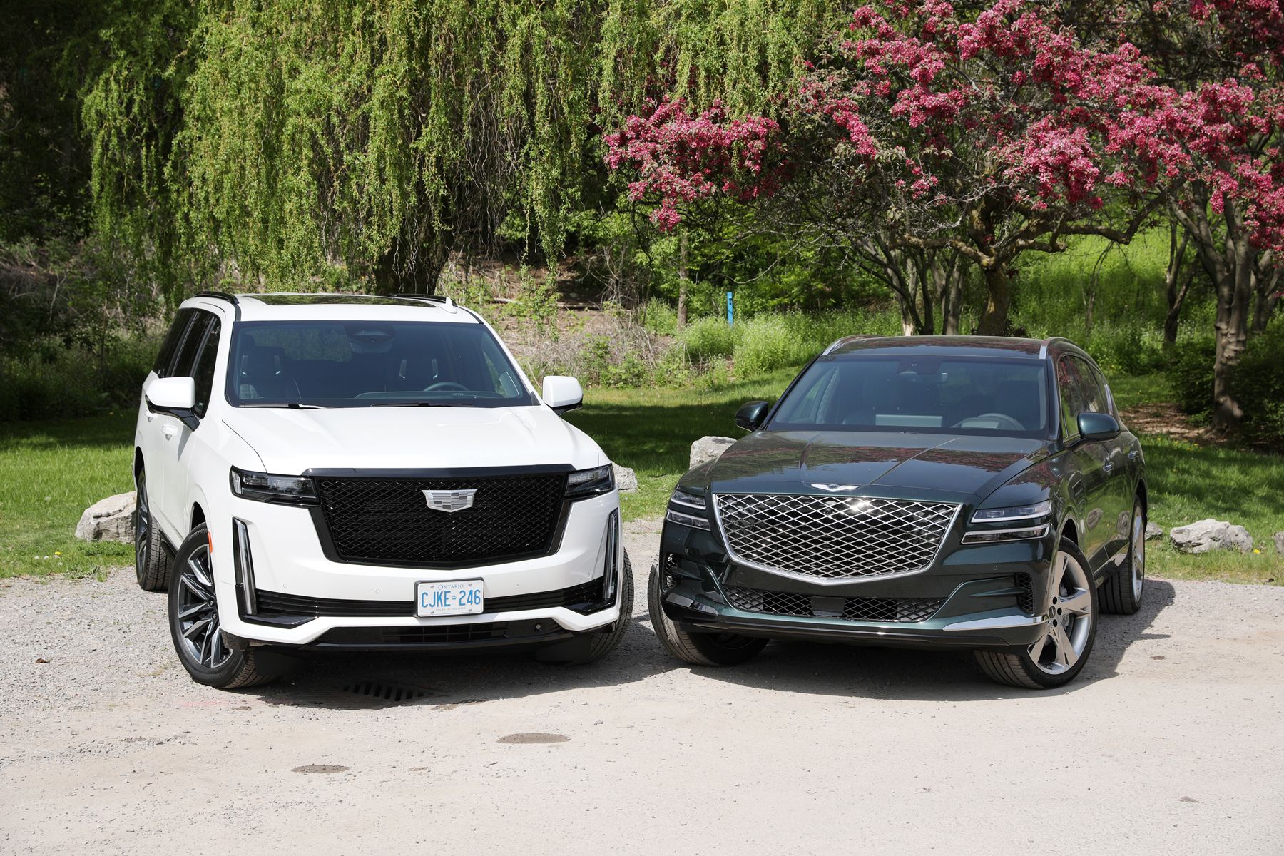 Suv Comparison Cadillac Escalade Versus Genesis Gv Canada Com