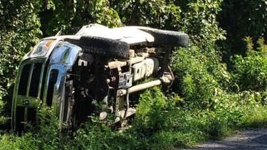 Alleged teenage thieves ram Peterborough police cruiser and flee before getting arrested