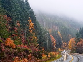 A fresh road trip with autumn colors in Vancouver Island, Canada.