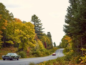 Classic muscle on the Maple Mille rally