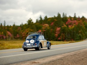 Classic VW Beetle following Highway 60 through Algonquin Park on the Maple Mille rally.